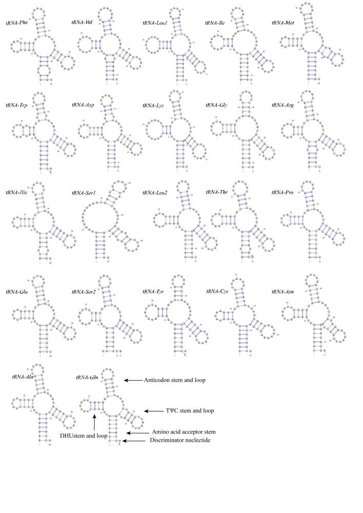 https://cdn.ncbi.nlm.nih.gov/pmc/blobs/323d/9846281/bccbff9fc479/bdj-11-e96066-g003.jpg
