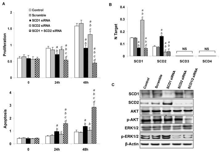 https://cdn.ncbi.nlm.nih.gov/pmc/blobs/323f/3777889/7668531199a1/pone.0075104.g005.jpg
