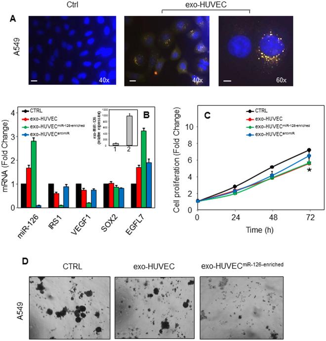 https://cdn.ncbi.nlm.nih.gov/pmc/blobs/323f/5681649/7f48ad577ab4/41598_2017_15475_Fig5_HTML.jpg