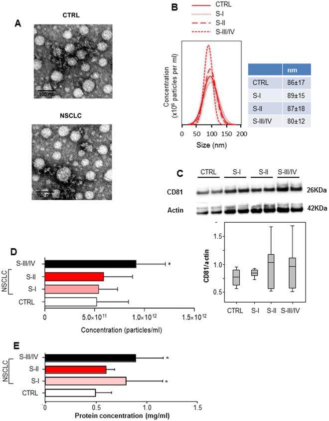 https://cdn.ncbi.nlm.nih.gov/pmc/blobs/323f/5681649/a9a783f65d7f/41598_2017_15475_Fig1_HTML.jpg