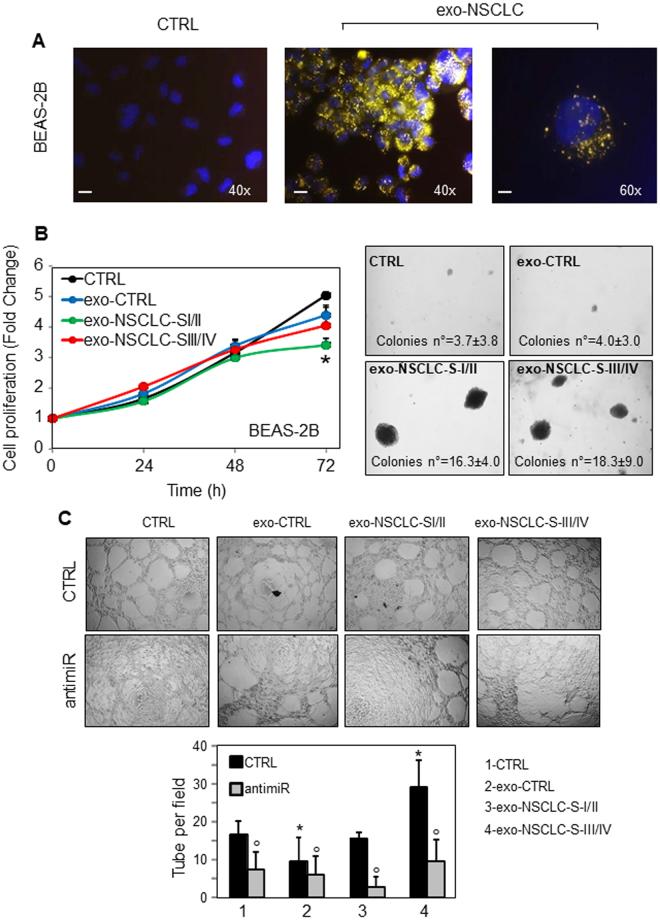 https://cdn.ncbi.nlm.nih.gov/pmc/blobs/323f/5681649/d3c02fcaa590/41598_2017_15475_Fig4_HTML.jpg