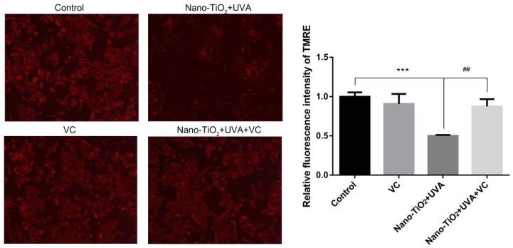 https://cdn.ncbi.nlm.nih.gov/pmc/blobs/323f/7602383/6e73b5c1cbd5/nanomaterials-10-02029-g006.jpg