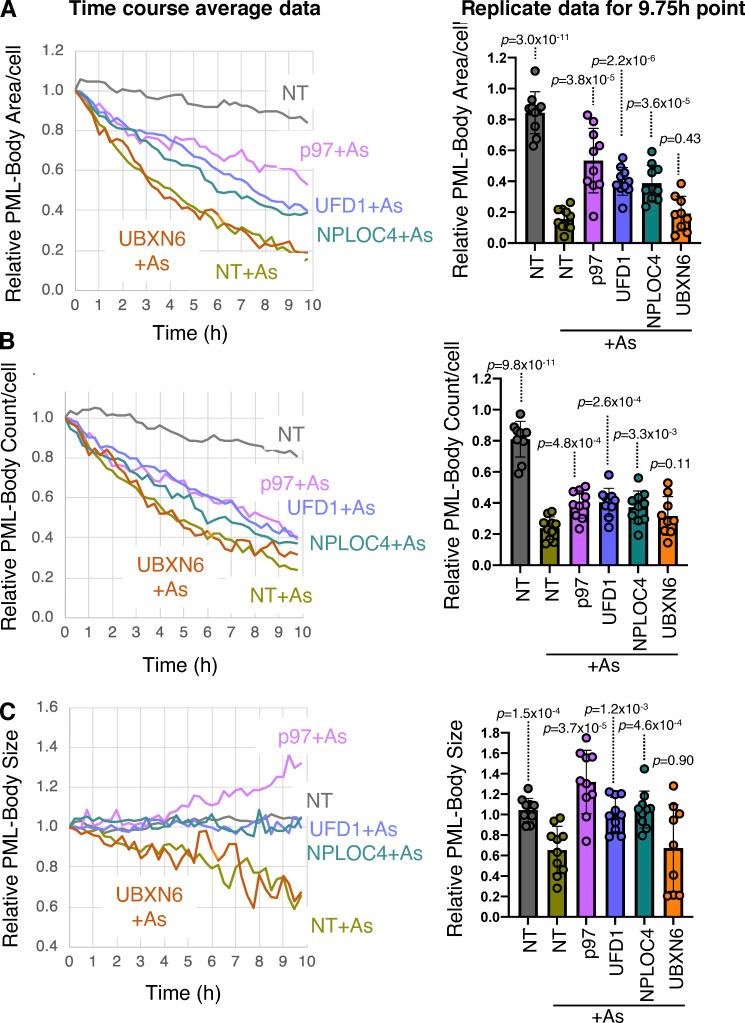 https://cdn.ncbi.nlm.nih.gov/pmc/blobs/3240/10005898/04b4c34ed0e2/JCB_202201027_FigS4.jpg