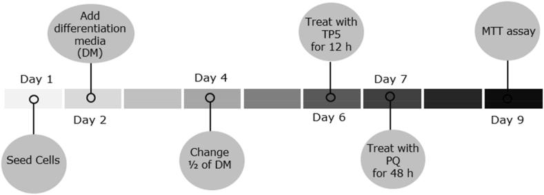 https://cdn.ncbi.nlm.nih.gov/pmc/blobs/3242/9559888/01c17485017b/gr1.jpg