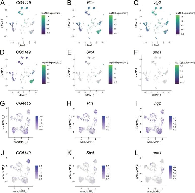 https://cdn.ncbi.nlm.nih.gov/pmc/blobs/3248/11239976/46a33849fddc/LSA-2023-02401_FigS2.jpg