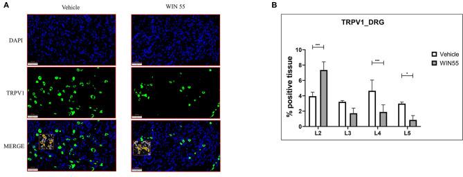 https://cdn.ncbi.nlm.nih.gov/pmc/blobs/324a/9580784/1e1f8762c643/frph-03-726936-g0005.jpg