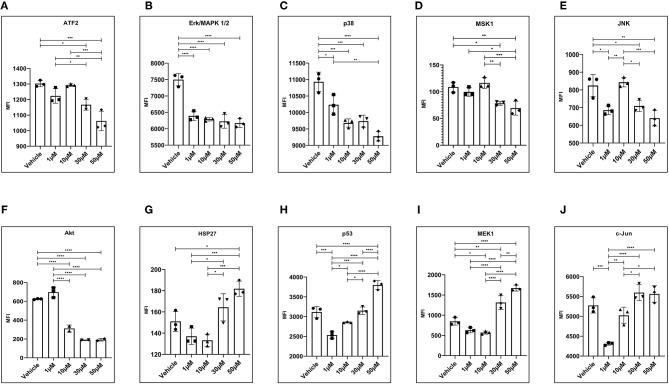 https://cdn.ncbi.nlm.nih.gov/pmc/blobs/324a/9580784/c221be79134b/frph-03-726936-g0003.jpg