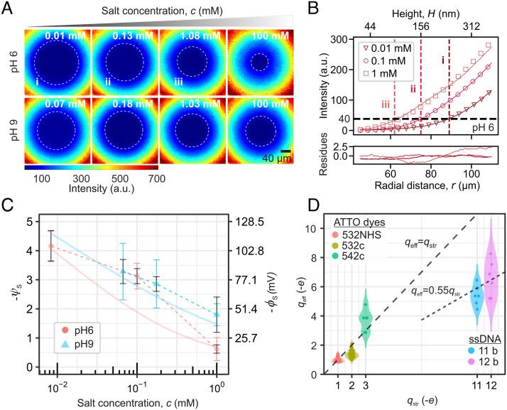 https://cdn.ncbi.nlm.nih.gov/pmc/blobs/324b/9894211/0f4c687a3d5c/pnas.2209955119fig02.jpg