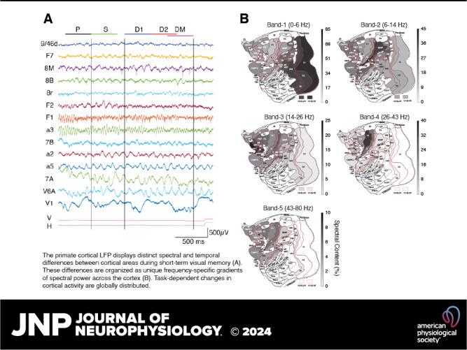 https://cdn.ncbi.nlm.nih.gov/pmc/blobs/324d/11383615/b6141f97ebaa/jn-00264-2023r01.jpg