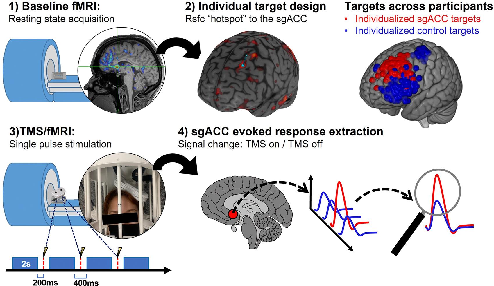 https://cdn.ncbi.nlm.nih.gov/pmc/blobs/324e/11887861/6b04a98dcabc/nihms-2047893-f0001.jpg