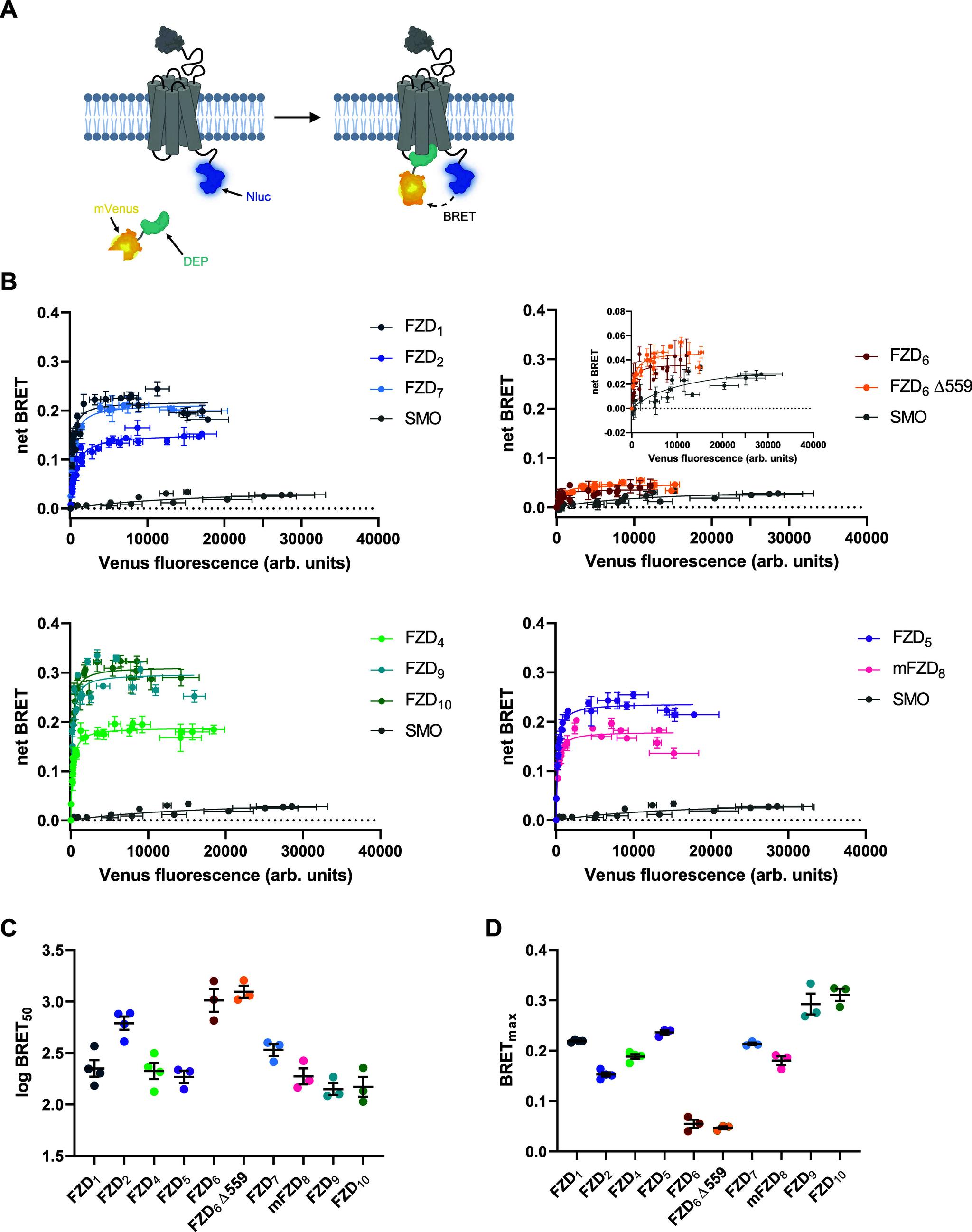 https://cdn.ncbi.nlm.nih.gov/pmc/blobs/324f/11443525/1e3e41f37857/se4c00806_0001.jpg