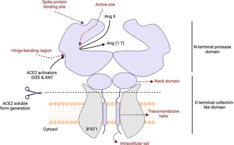 https://cdn.ncbi.nlm.nih.gov/pmc/blobs/3250/11181331/483751a8868f/jf4c01594_0002.jpg