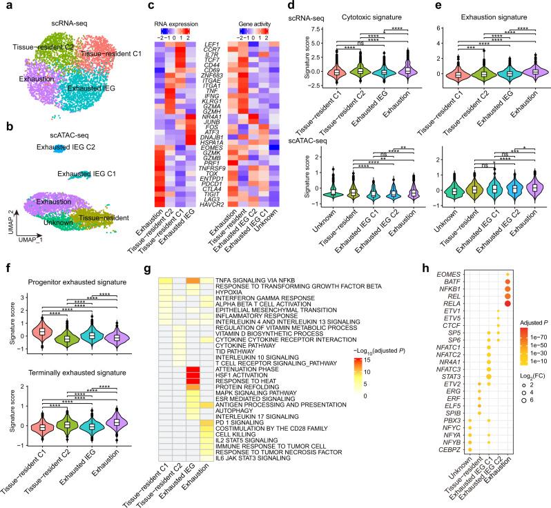 https://cdn.ncbi.nlm.nih.gov/pmc/blobs/3250/9296597/d1614f48650d/41421_2022_415_Fig5_HTML.jpg