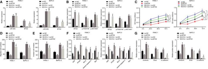 https://cdn.ncbi.nlm.nih.gov/pmc/blobs/3251/8107105/2fe8b1c7648a/JCMM-25-4671-g004.jpg