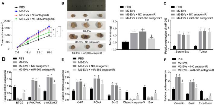 https://cdn.ncbi.nlm.nih.gov/pmc/blobs/3251/8107105/9953a4c0c36a/JCMM-25-4671-g002.jpg