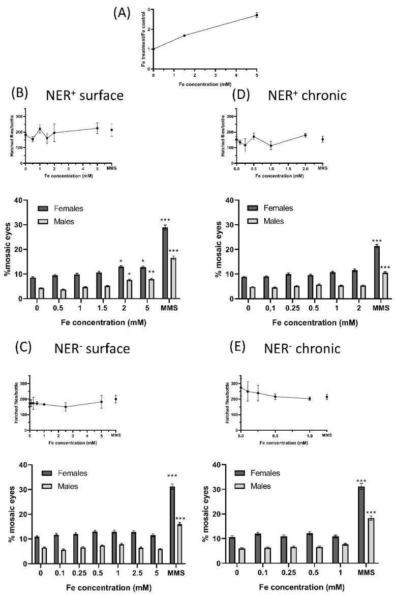 https://cdn.ncbi.nlm.nih.gov/pmc/blobs/3253/9369228/7c639626cbac/ijms-23-08788-g003.jpg
