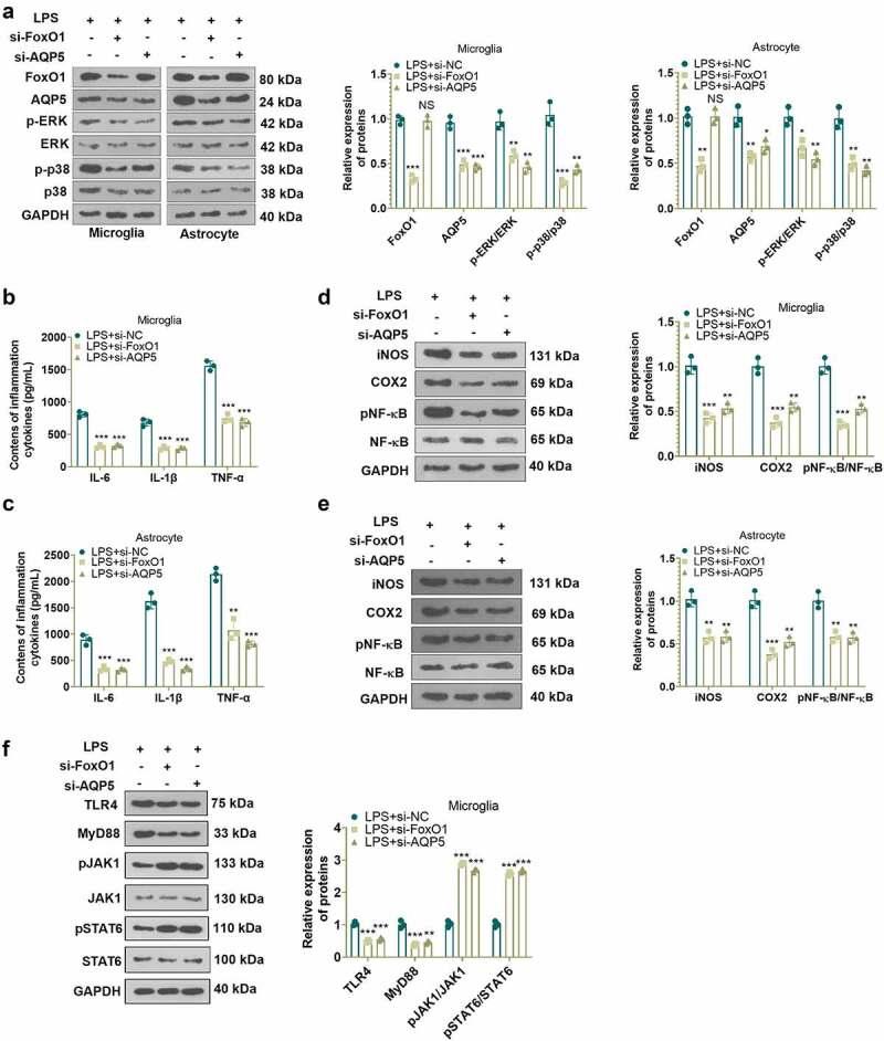 https://cdn.ncbi.nlm.nih.gov/pmc/blobs/3256/9161847/72d13fbcec39/KBIE_A_2053032_F0002_OC.jpg