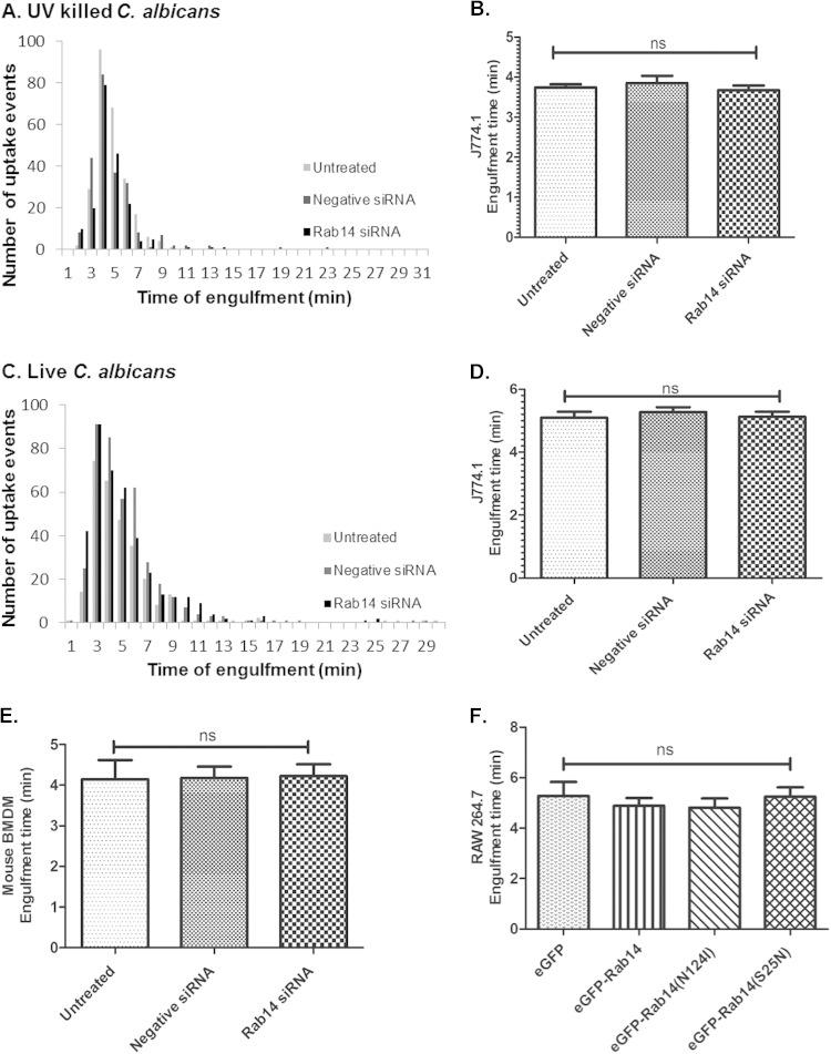 https://cdn.ncbi.nlm.nih.gov/pmc/blobs/3257/4363425/118b6ccda4c3/zii9990911590004.jpg