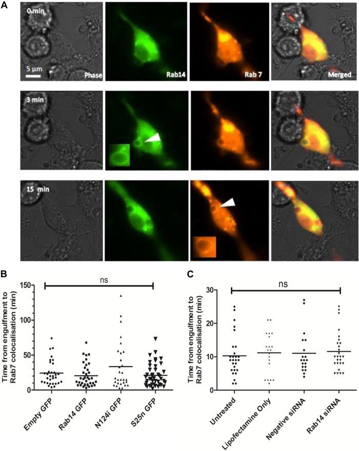 https://cdn.ncbi.nlm.nih.gov/pmc/blobs/3257/4363425/1fa0819a0ca9/zii9990911590007.jpg