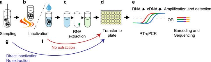 https://cdn.ncbi.nlm.nih.gov/pmc/blobs/3257/7511968/7efd573344e2/41467_2020_18611_Fig1_HTML.jpg