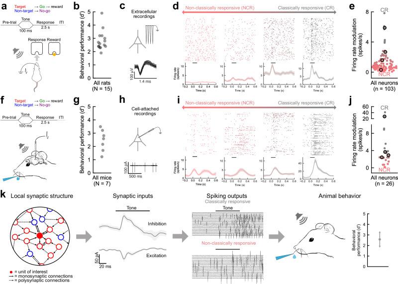 https://cdn.ncbi.nlm.nih.gov/pmc/blobs/3258/11255273/b795b5ed1d88/41467_2024_49895_Fig1_HTML.jpg