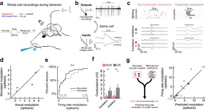 https://cdn.ncbi.nlm.nih.gov/pmc/blobs/3258/11255273/bdcc553aacb6/41467_2024_49895_Fig5_HTML.jpg