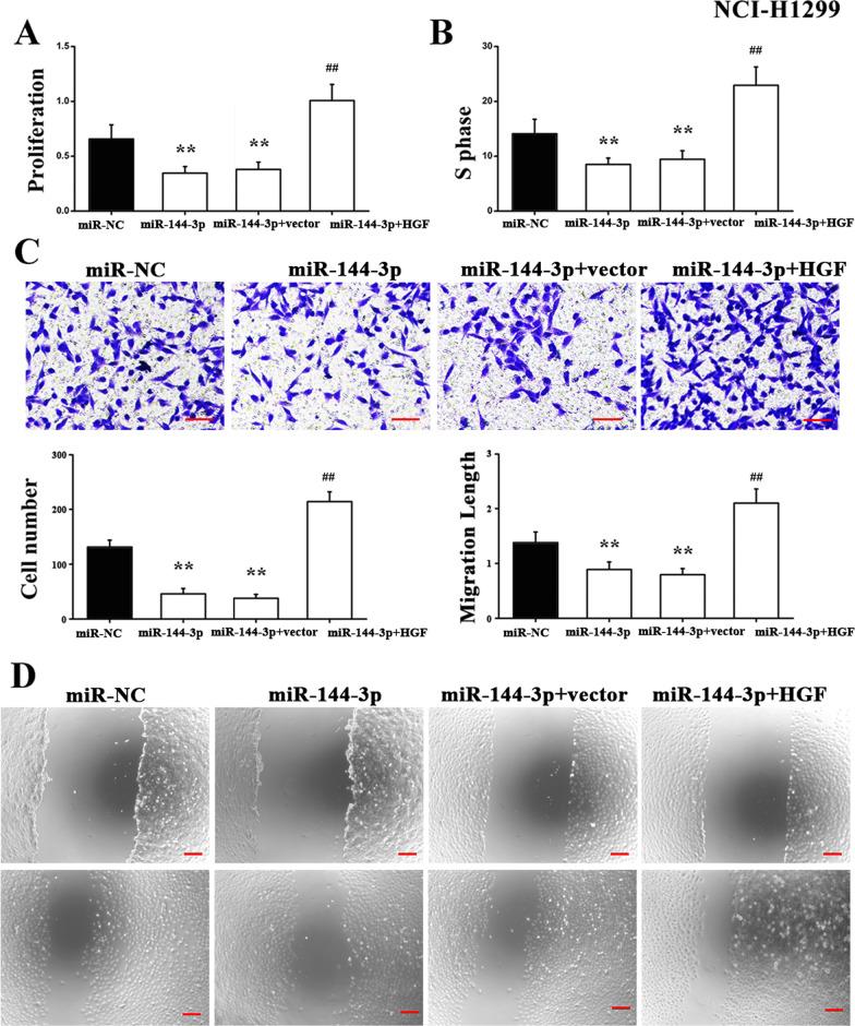 https://cdn.ncbi.nlm.nih.gov/pmc/blobs/325e/9107261/0060dca10156/13019_2022_1861_Fig5_HTML.jpg