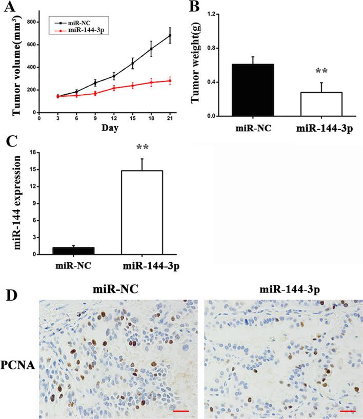 https://cdn.ncbi.nlm.nih.gov/pmc/blobs/325e/9107261/585766a5da49/13019_2022_1861_Fig6_HTML.jpg