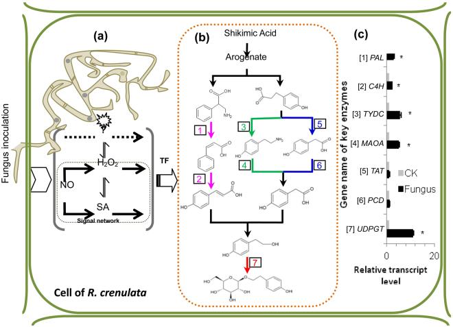 https://cdn.ncbi.nlm.nih.gov/pmc/blobs/325f/5624951/337f87e58706/41598_2017_12895_Fig4_HTML.jpg