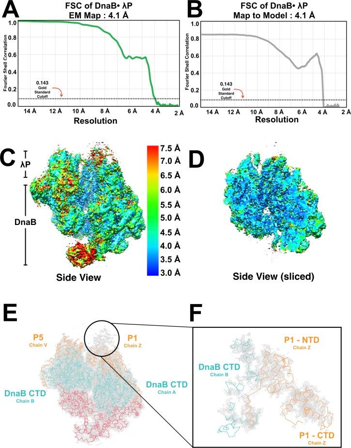 https://cdn.ncbi.nlm.nih.gov/pmc/blobs/325f/6391071/f6570940ba9c/elife-41140-fig2-figsupp3.jpg