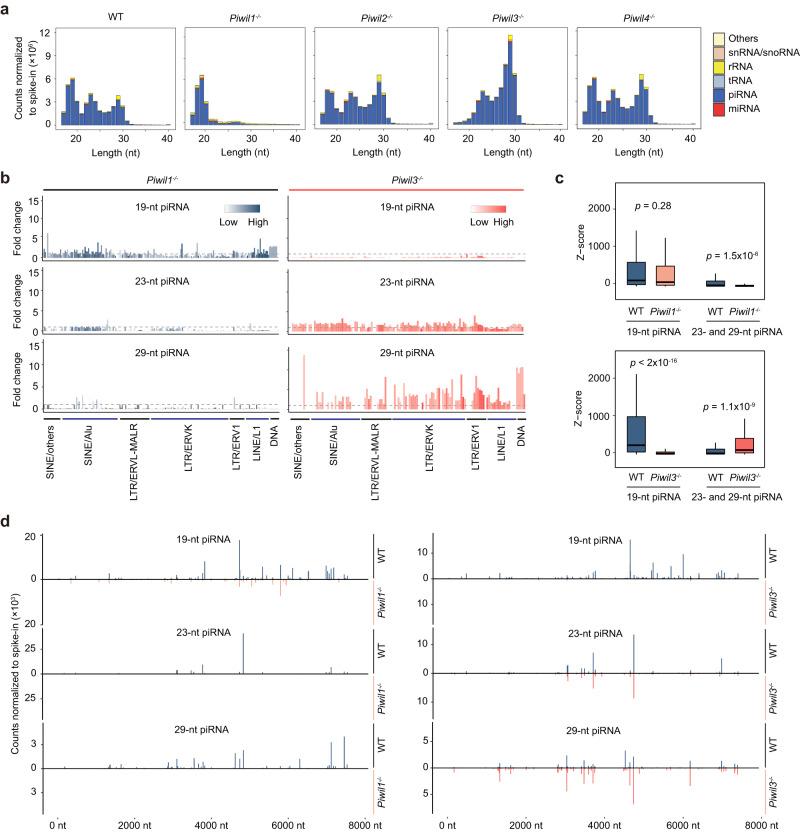 https://cdn.ncbi.nlm.nih.gov/pmc/blobs/3261/10465502/702fa2d55cc7/41467_2023_40650_Fig3_HTML.jpg