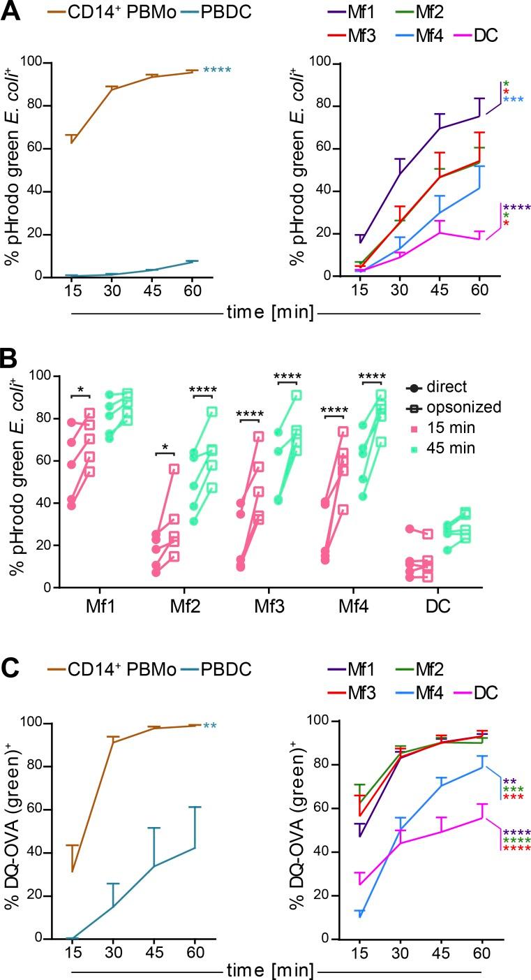https://cdn.ncbi.nlm.nih.gov/pmc/blobs/3265/5789404/bfa4f6437ed7/JEM_20170057_Fig6.jpg