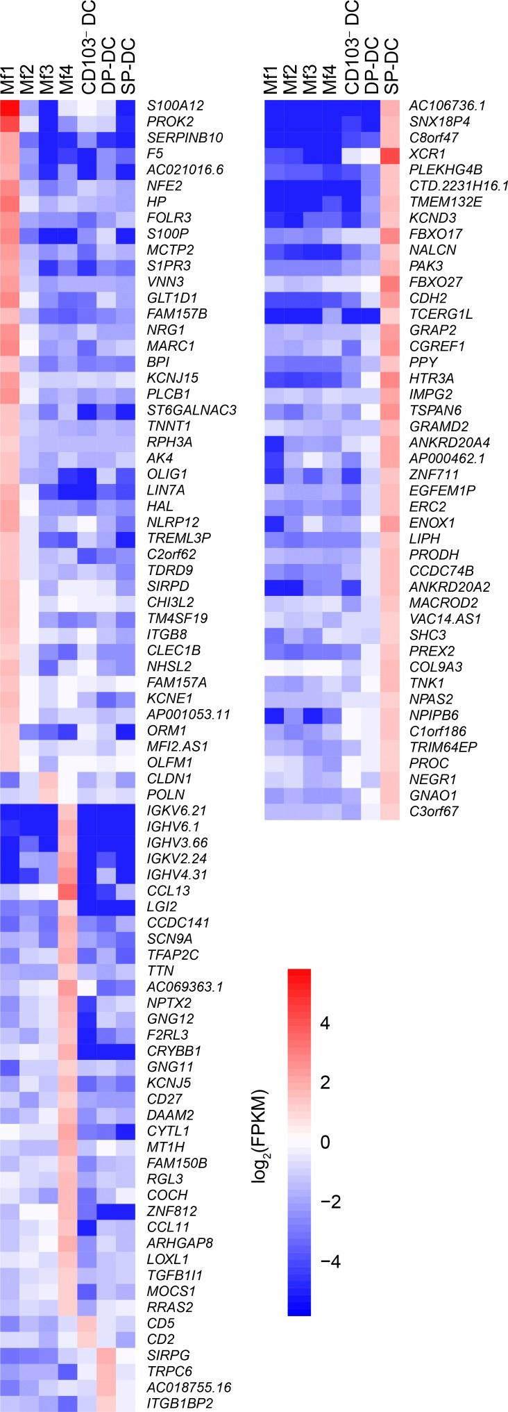 https://cdn.ncbi.nlm.nih.gov/pmc/blobs/3265/5789404/da84e072de28/JEM_20170057_Fig5.jpg