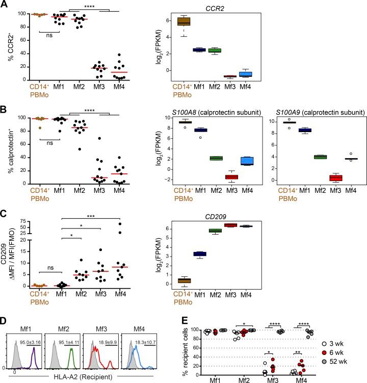 https://cdn.ncbi.nlm.nih.gov/pmc/blobs/3265/5789404/f15767bfa7f4/JEM_20170057_Fig2.jpg