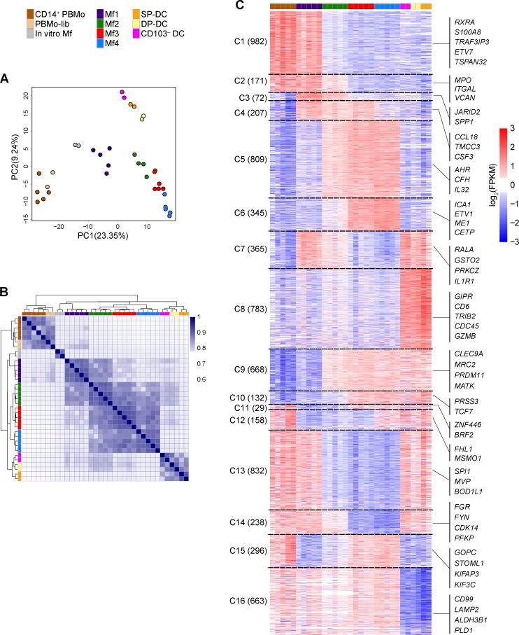 https://cdn.ncbi.nlm.nih.gov/pmc/blobs/3265/5789404/f7555d5210d6/JEM_20170057_Fig4.jpg