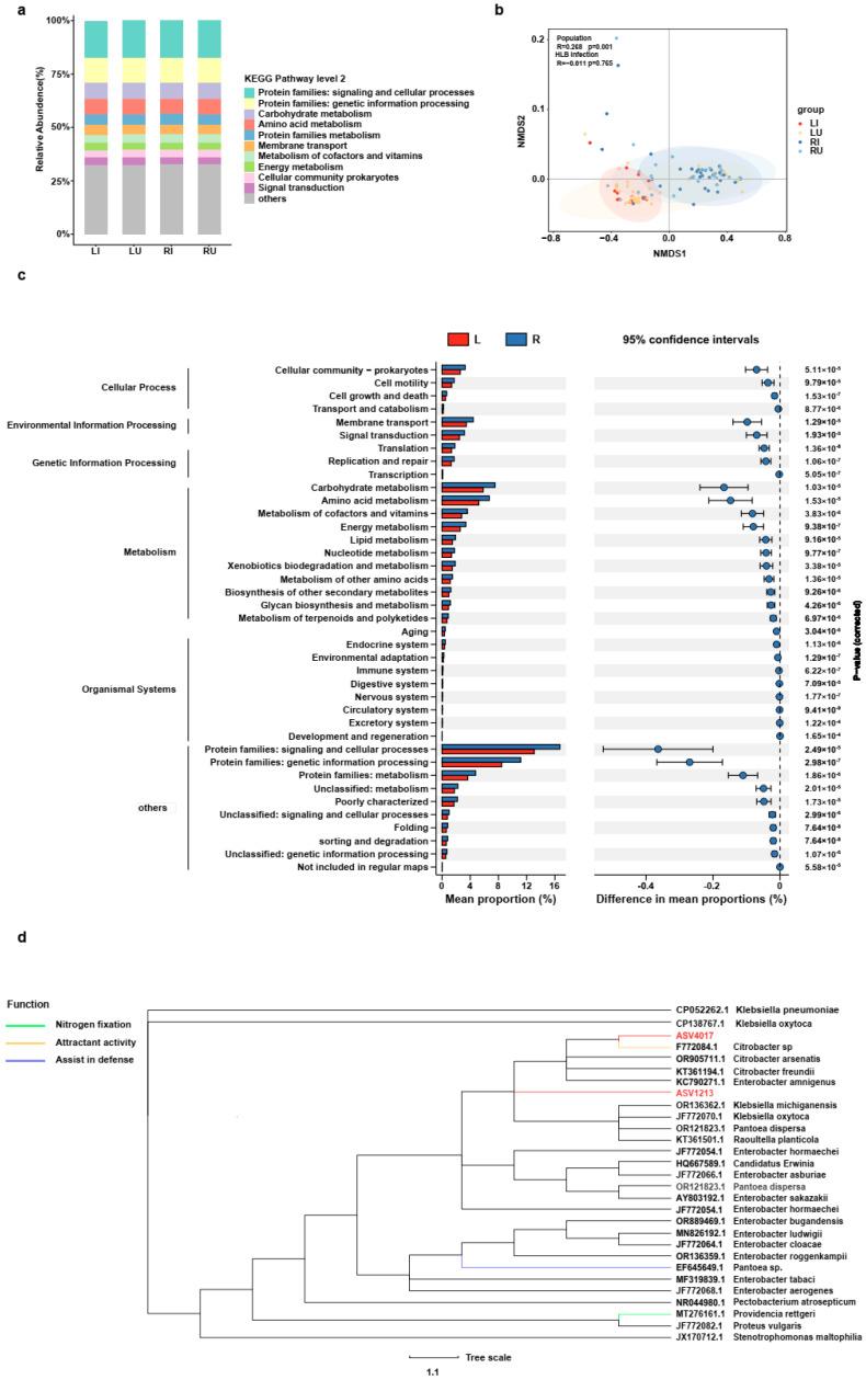 https://cdn.ncbi.nlm.nih.gov/pmc/blobs/3266/11120679/5e7934d7bdac/ijms-25-05136-g005.jpg