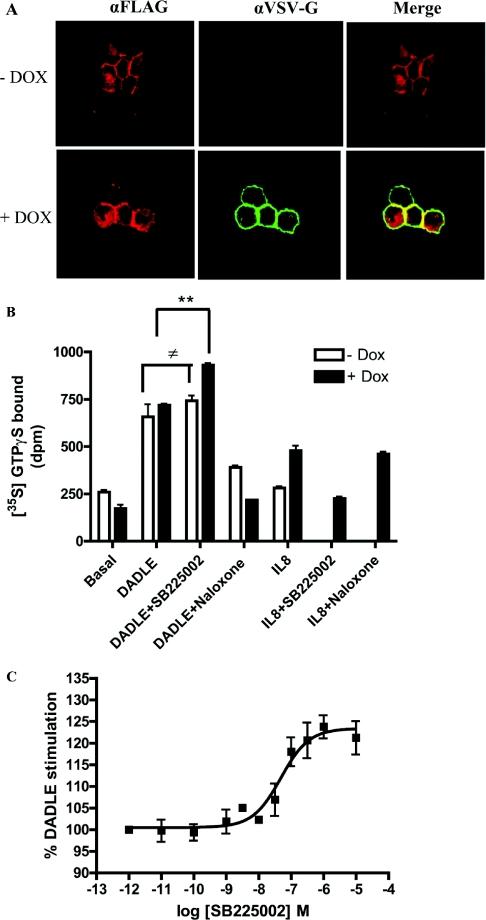 https://cdn.ncbi.nlm.nih.gov/pmc/blobs/3266/2474558/d50dc5637d0b/bic806i007.jpg