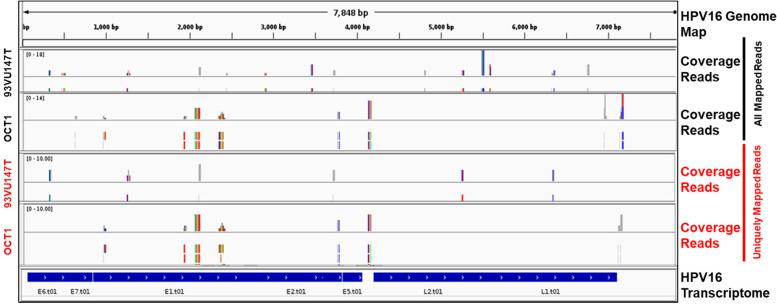 https://cdn.ncbi.nlm.nih.gov/pmc/blobs/3267/11395213/36e311564ea1/12885_2024_12759_Fig8_HTML.jpg