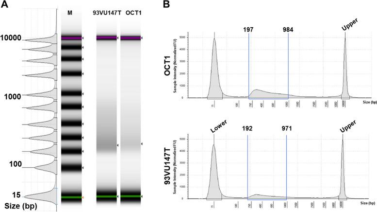 https://cdn.ncbi.nlm.nih.gov/pmc/blobs/3267/11395213/491957e5e3d6/12885_2024_12759_Fig2_HTML.jpg