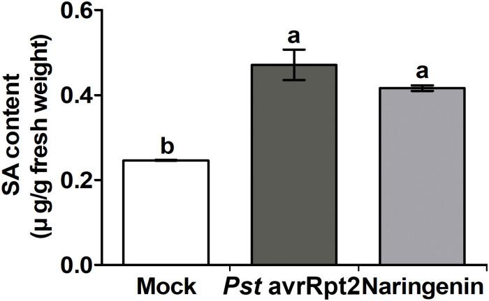 https://cdn.ncbi.nlm.nih.gov/pmc/blobs/3267/8173199/6b221dfa20fc/fpls-12-672552-g004.jpg