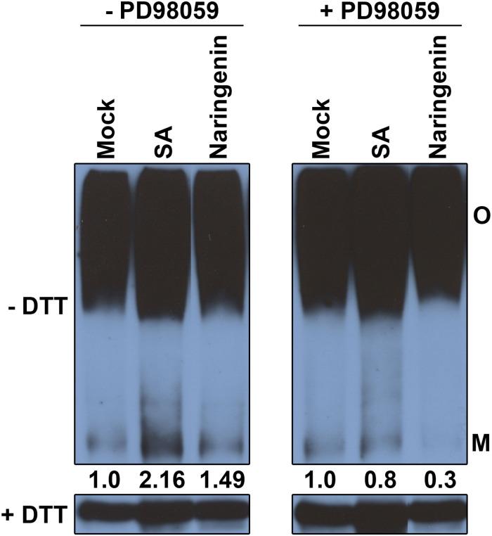 https://cdn.ncbi.nlm.nih.gov/pmc/blobs/3267/8173199/6df457681205/fpls-12-672552-g008.jpg