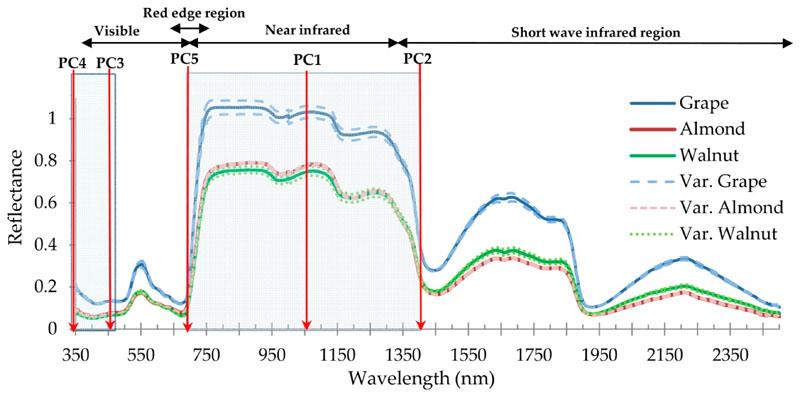 https://cdn.ncbi.nlm.nih.gov/pmc/blobs/3269/7613365/2cd50266ea1d/EMS152648-f004.jpg