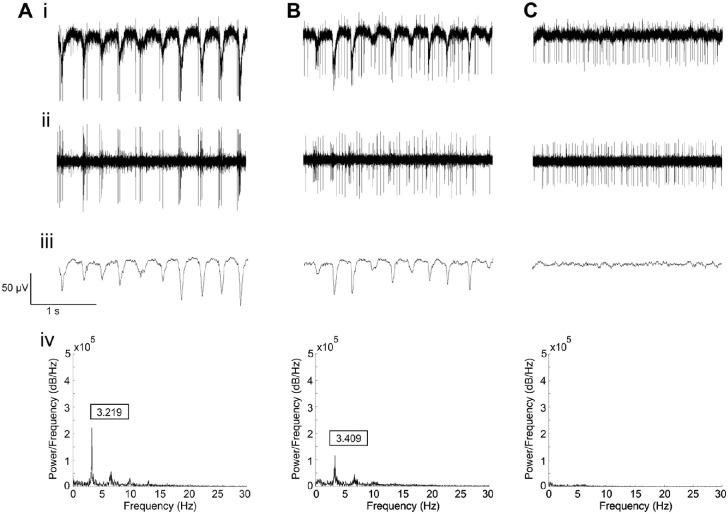 https://cdn.ncbi.nlm.nih.gov/pmc/blobs/326c/7705397/71680ef54392/iovs-61-13-37-f001.jpg