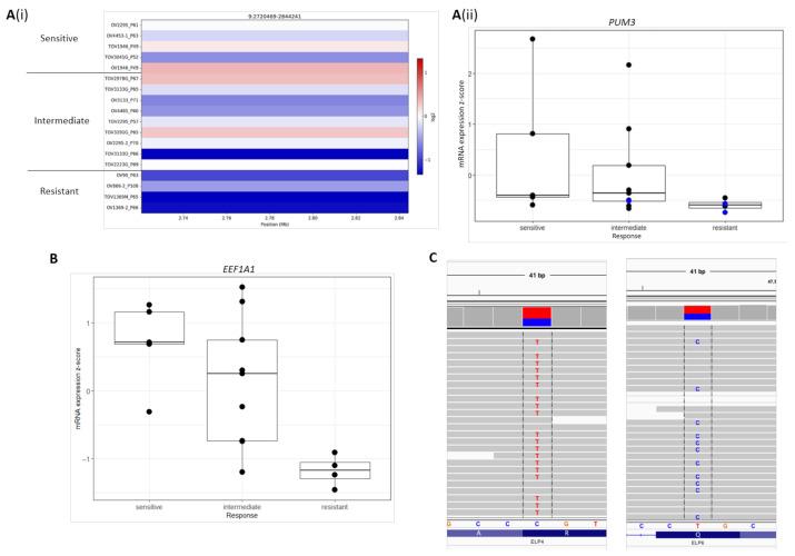 https://cdn.ncbi.nlm.nih.gov/pmc/blobs/326d/7998846/9e419d70c87a/cancers-13-01296-g005.jpg