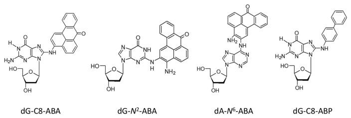 https://cdn.ncbi.nlm.nih.gov/pmc/blobs/326e/5654197/1e576d97095a/tr-33-265f1.jpg