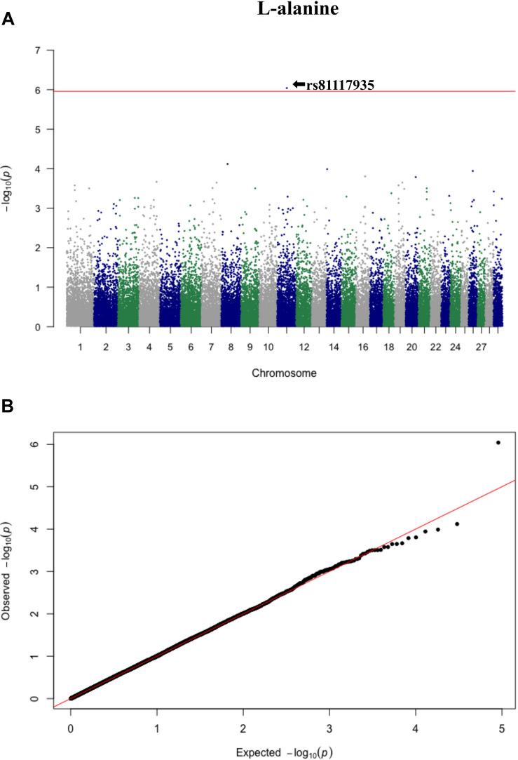 https://cdn.ncbi.nlm.nih.gov/pmc/blobs/326f/7542097/a7848effad31/fgene-11-538600-g003.jpg