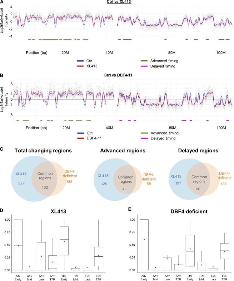 https://cdn.ncbi.nlm.nih.gov/pmc/blobs/3276/11169917/0948c153c884/jcb_202402144_fig3.jpg