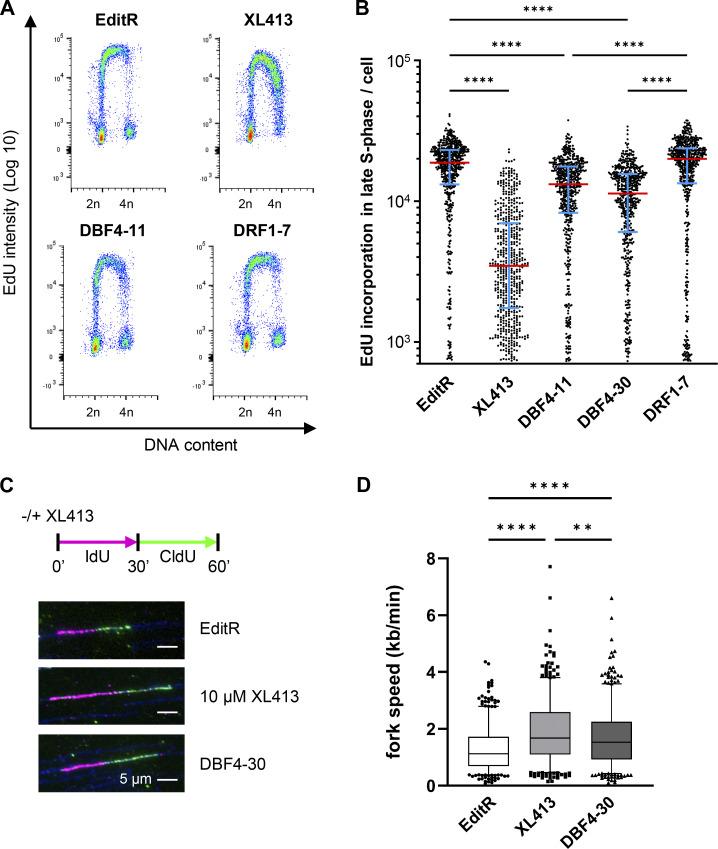 https://cdn.ncbi.nlm.nih.gov/pmc/blobs/3276/11169917/8437e1d1d1b0/jcb_202402144_fig2.jpg