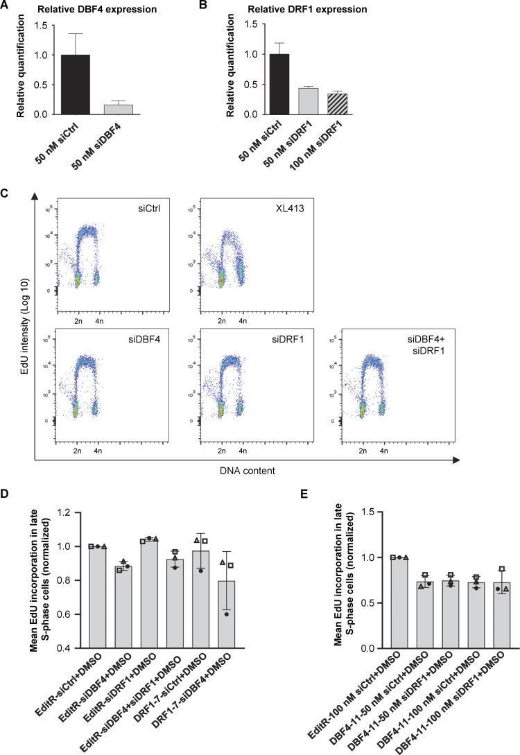 https://cdn.ncbi.nlm.nih.gov/pmc/blobs/3276/11169917/b559ad89c00f/jcb_202402144_figs2.jpg