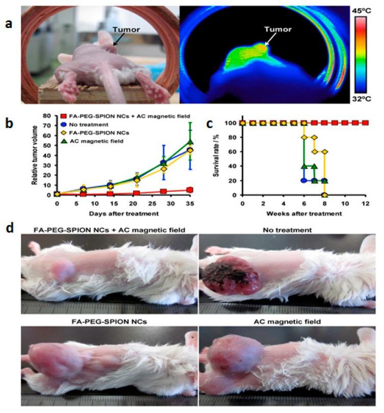 https://cdn.ncbi.nlm.nih.gov/pmc/blobs/3279/7076668/67bfc15d65d8/pharmaceutics-12-00147-g003.jpg